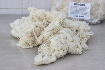 Üstübü