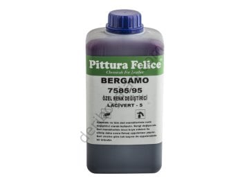 Özel Renk Değiştirici